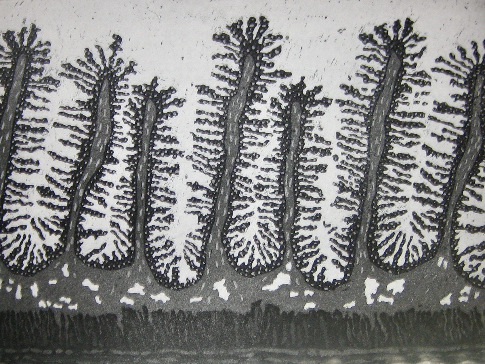 Cellules et tissus du monde 8