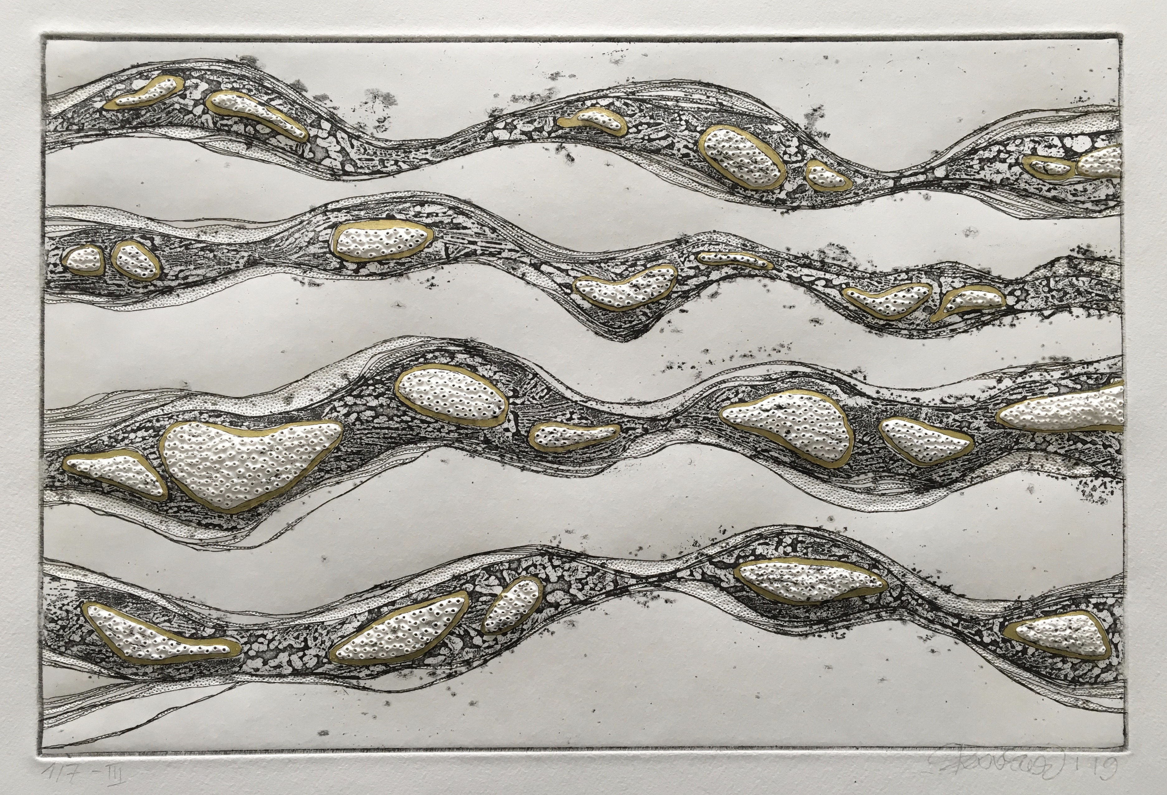 O' cellules et tissus FLOW III