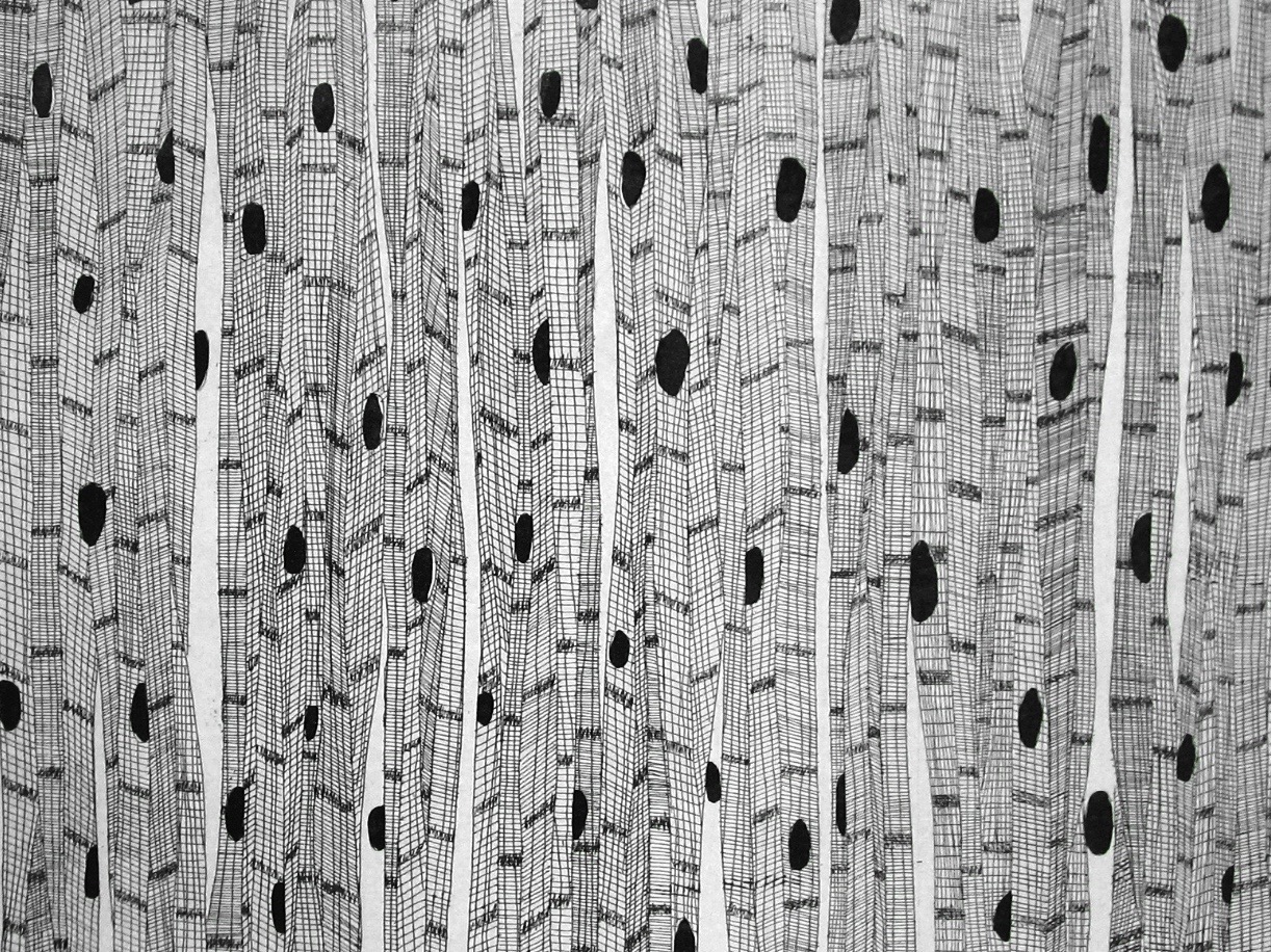 Cellules et tissus du monde 1