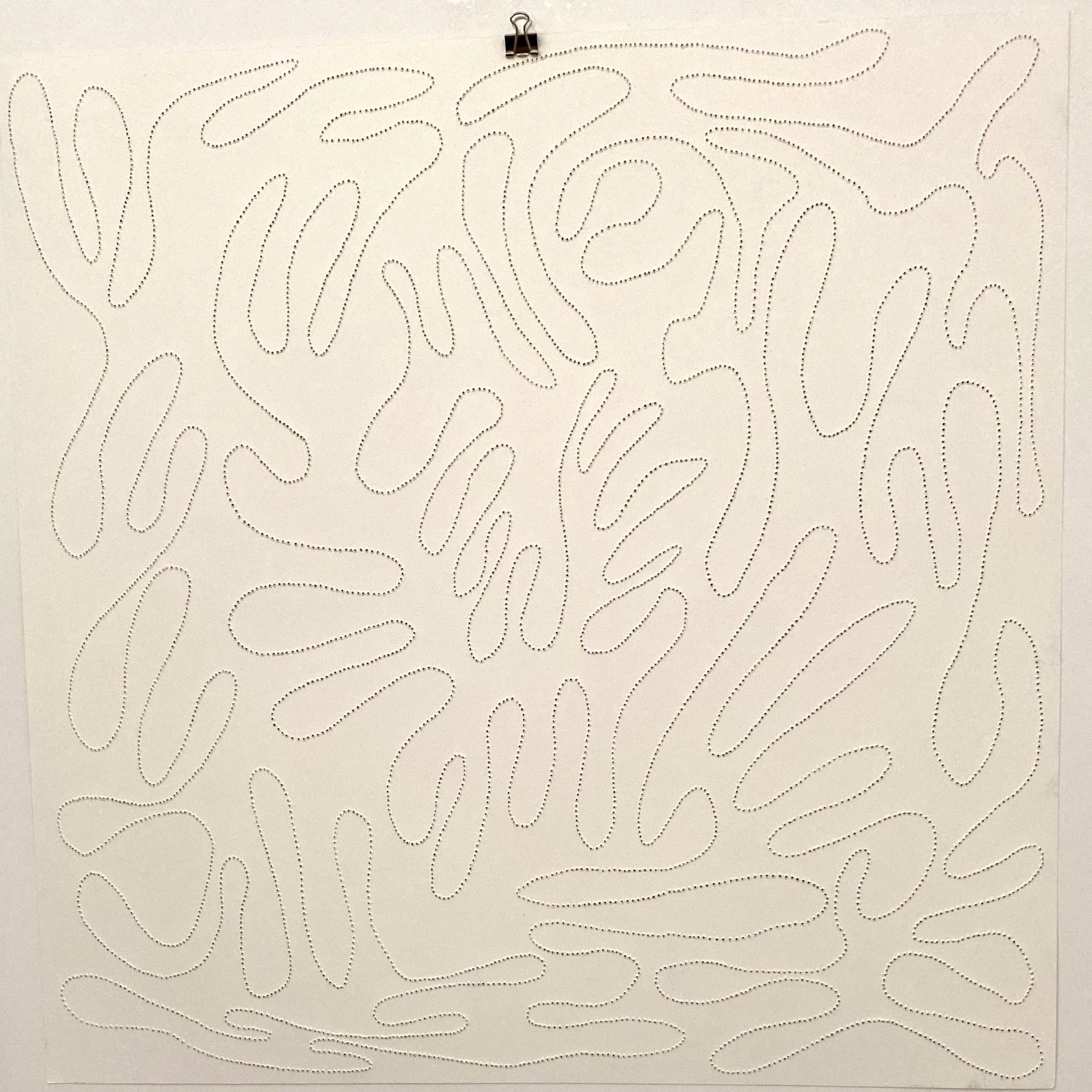 two lines meandering in a square